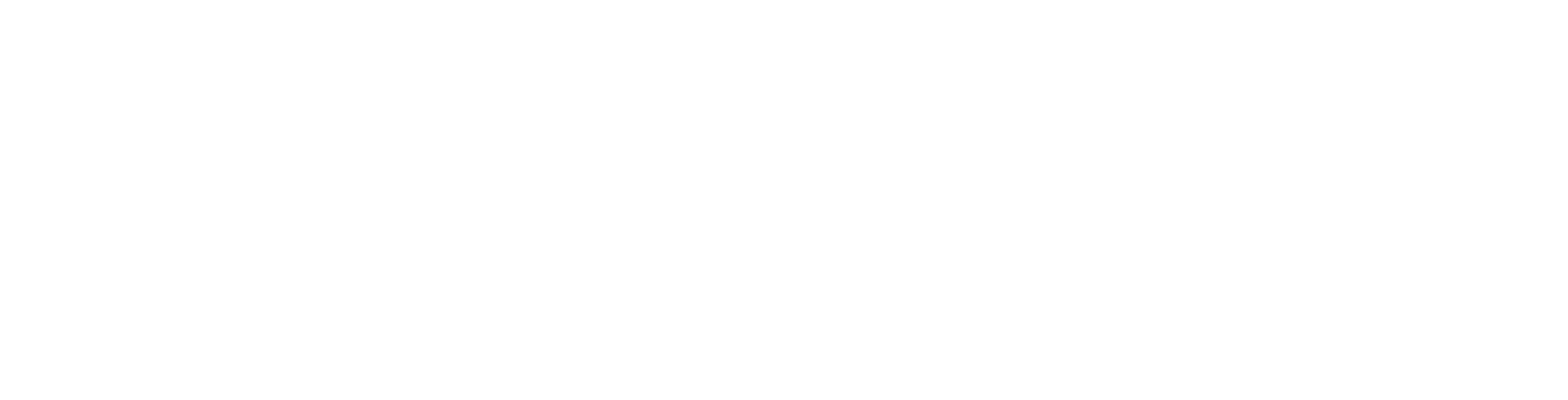 Omnix.s